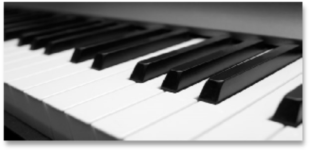 Piano Docenten PianoVrienden